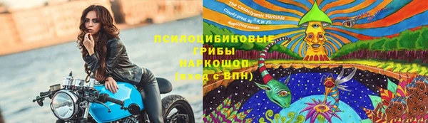 прущие крисы Абинск