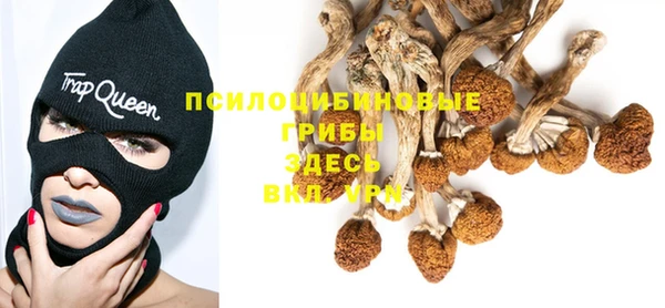 спиды Абаза