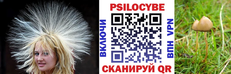 omg ссылка  дарнет шоп  Новоуральск  Галлюциногенные грибы Psilocybe 