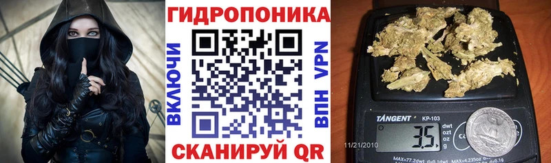 Конопля сатива shop официальный сайт Новоуральск